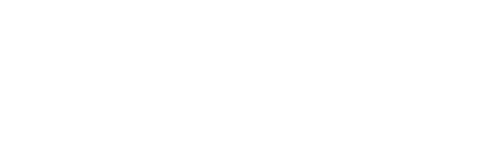 Social Boost